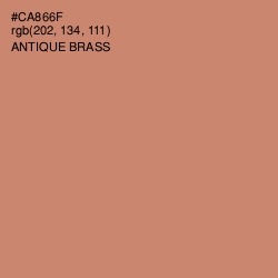 #CA866F - Antique Brass Color Image